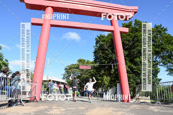 Buy your photos of the eventVibe Run on Fotop