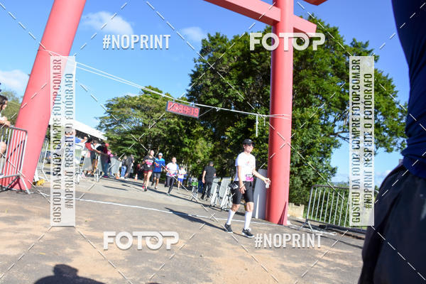 Buy your photos of the eventVibe Run on Fotop