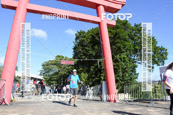 Buy your photos of the eventVibe Run on Fotop