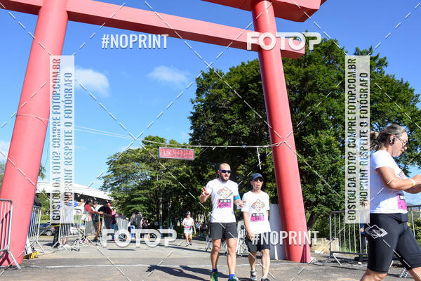 Buy your photos of the eventVibe Run on Fotop