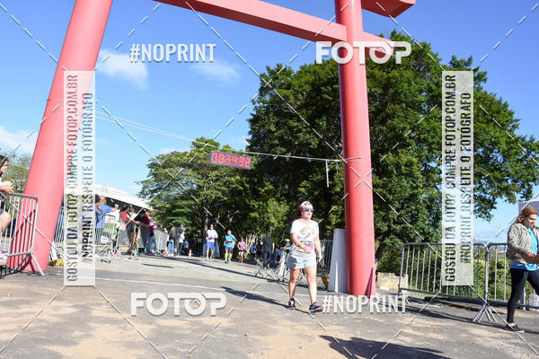 Buy your photos of the eventVibe Run on Fotop