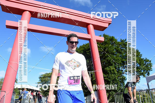 Buy your photos of the eventVibe Run on Fotop