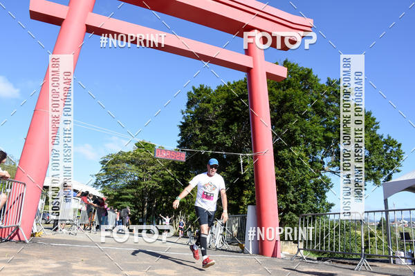 Buy your photos of the eventVibe Run on Fotop