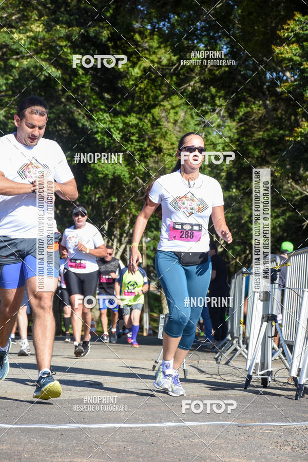 Buy your photos of the eventVibe Run on Fotop