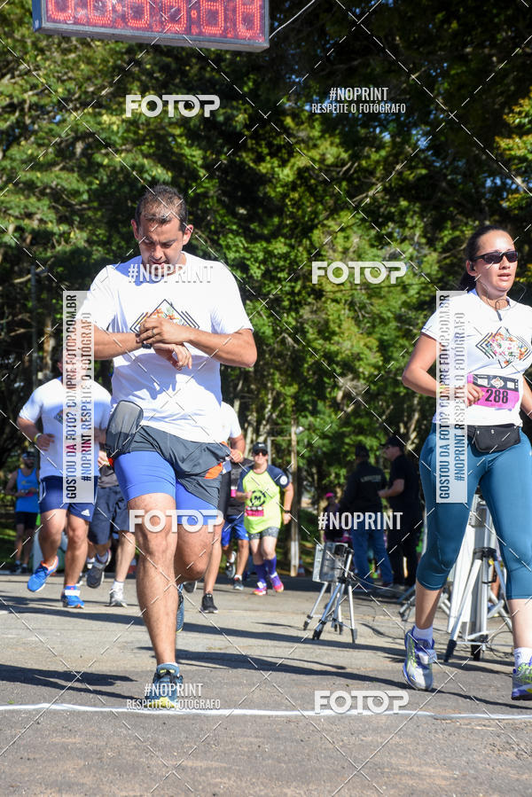 Buy your photos of the eventVibe Run on Fotop