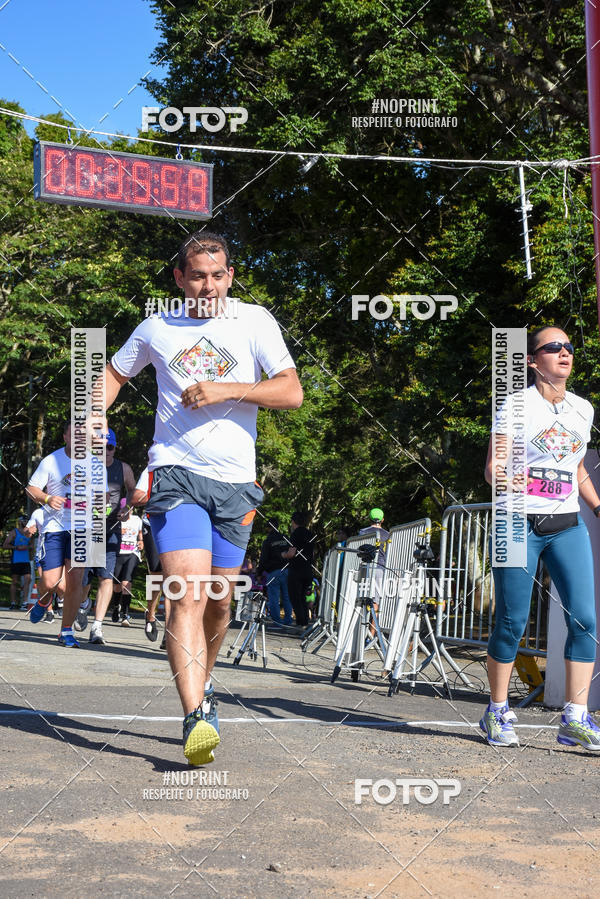 Buy your photos of the eventVibe Run on Fotop