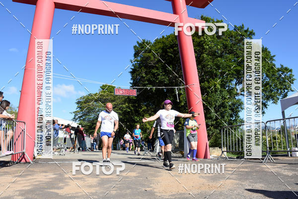 Buy your photos of the eventVibe Run on Fotop