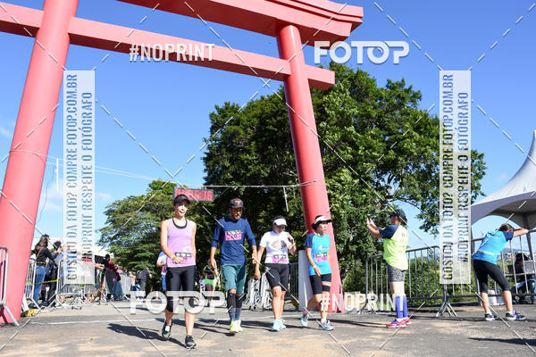 Buy your photos of the eventVibe Run on Fotop