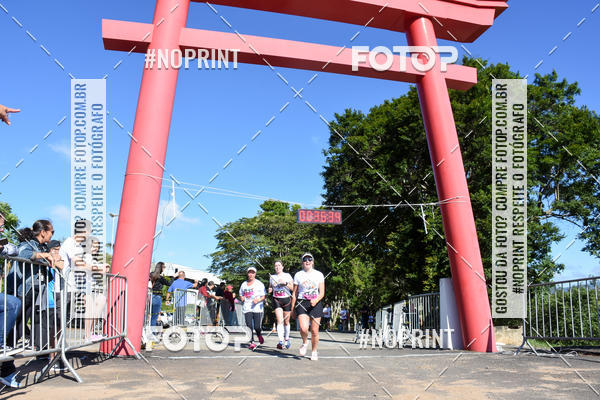 Buy your photos of the eventVibe Run on Fotop