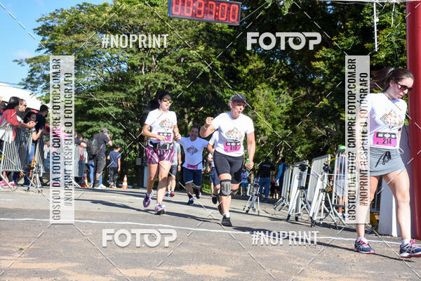 Buy your photos of the eventVibe Run on Fotop