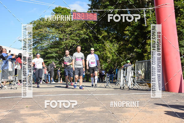 Buy your photos of the eventVibe Run on Fotop