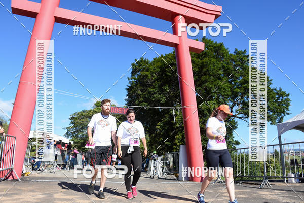 Buy your photos of the eventVibe Run on Fotop