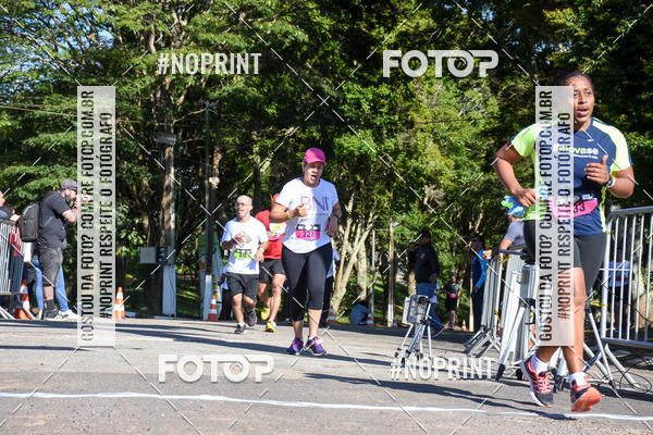 Buy your photos of the eventVibe Run on Fotop