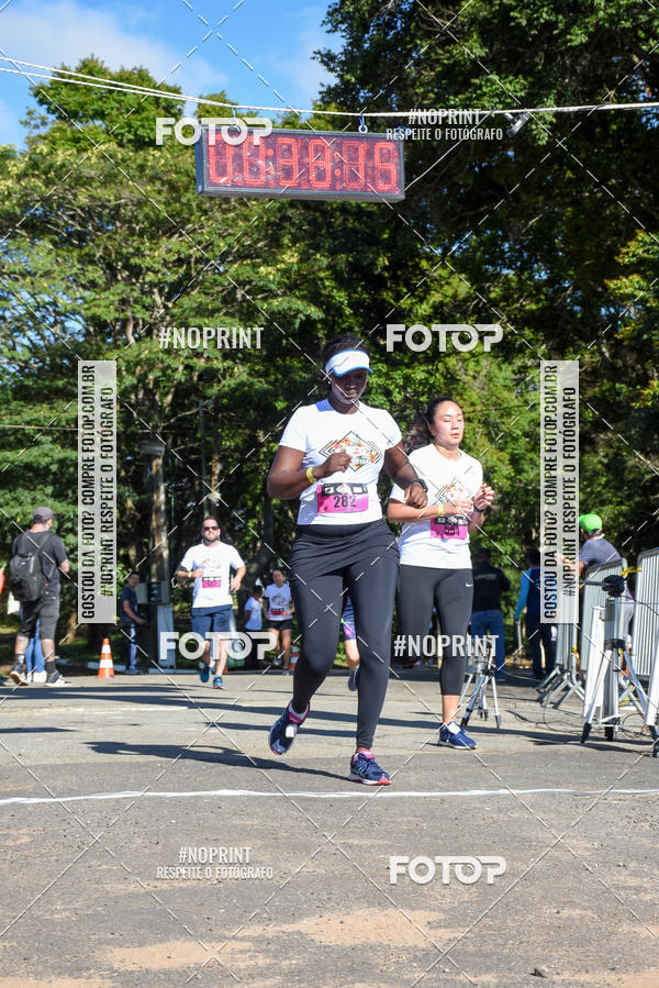 Buy your photos of the eventVibe Run on Fotop