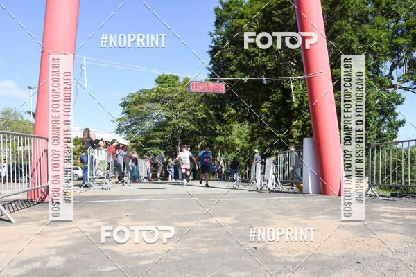 Buy your photos of the eventVibe Run on Fotop