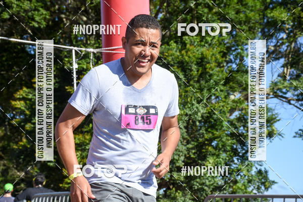 Buy your photos of the eventVibe Run on Fotop