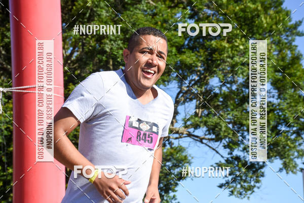 Buy your photos of the eventVibe Run on Fotop