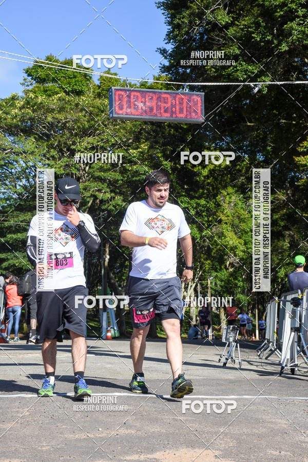 Buy your photos of the eventVibe Run on Fotop