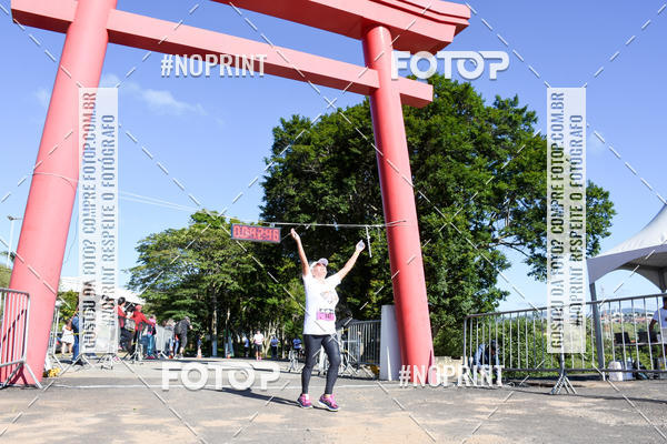 Buy your photos of the eventVibe Run on Fotop