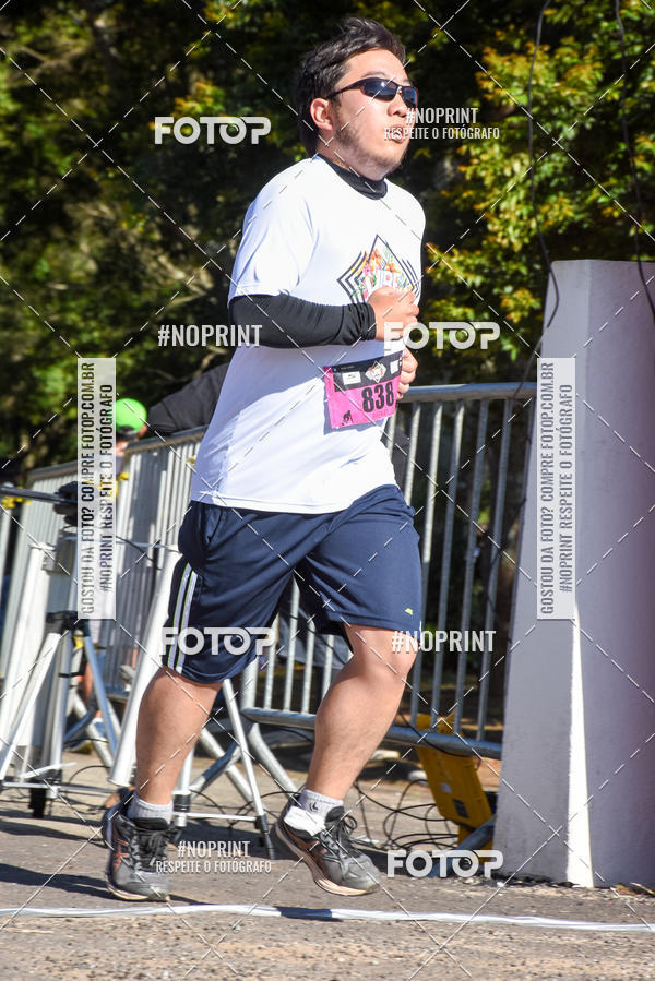 Buy your photos of the eventVibe Run on Fotop