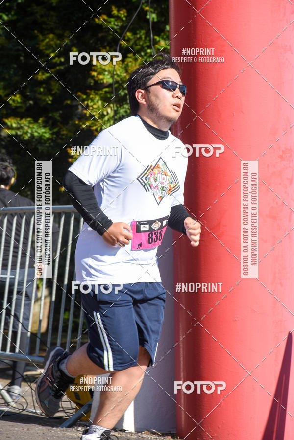 Buy your photos of the eventVibe Run on Fotop