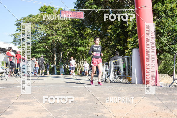 Buy your photos of the eventVibe Run on Fotop