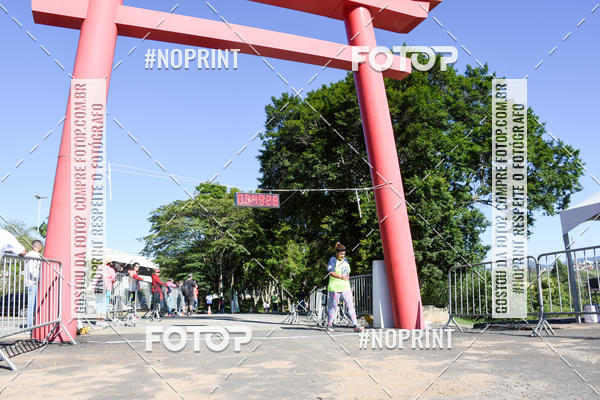 Buy your photos of the eventVibe Run on Fotop