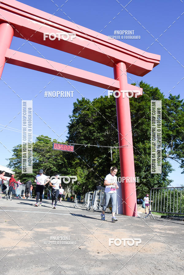 Buy your photos of the eventVibe Run on Fotop