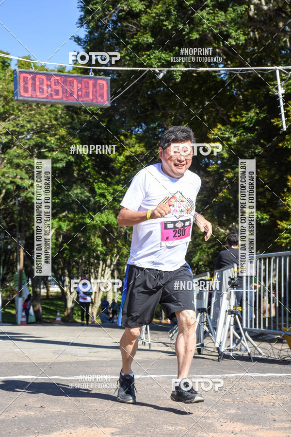 Buy your photos of the eventVibe Run on Fotop