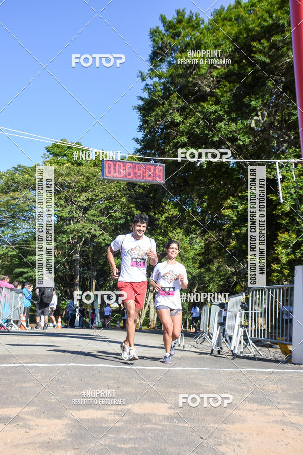 Buy your photos of the eventVibe Run on Fotop