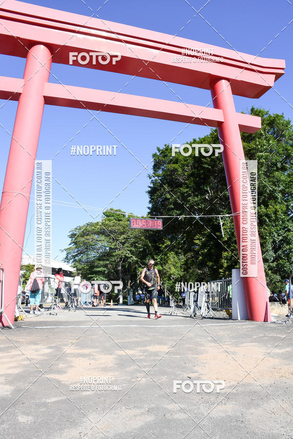 Buy your photos of the eventVibe Run on Fotop