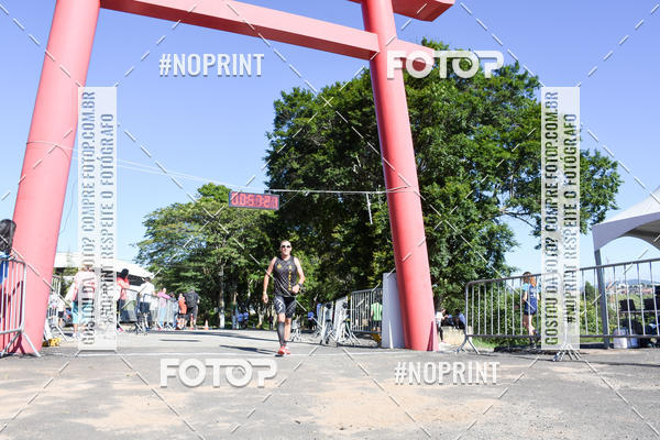 Buy your photos of the eventVibe Run on Fotop