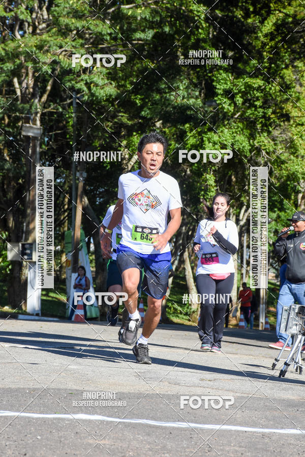 Buy your photos of the eventVibe Run on Fotop