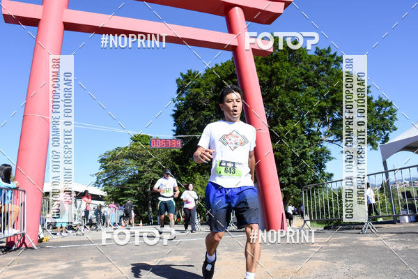 Buy your photos of the eventVibe Run on Fotop