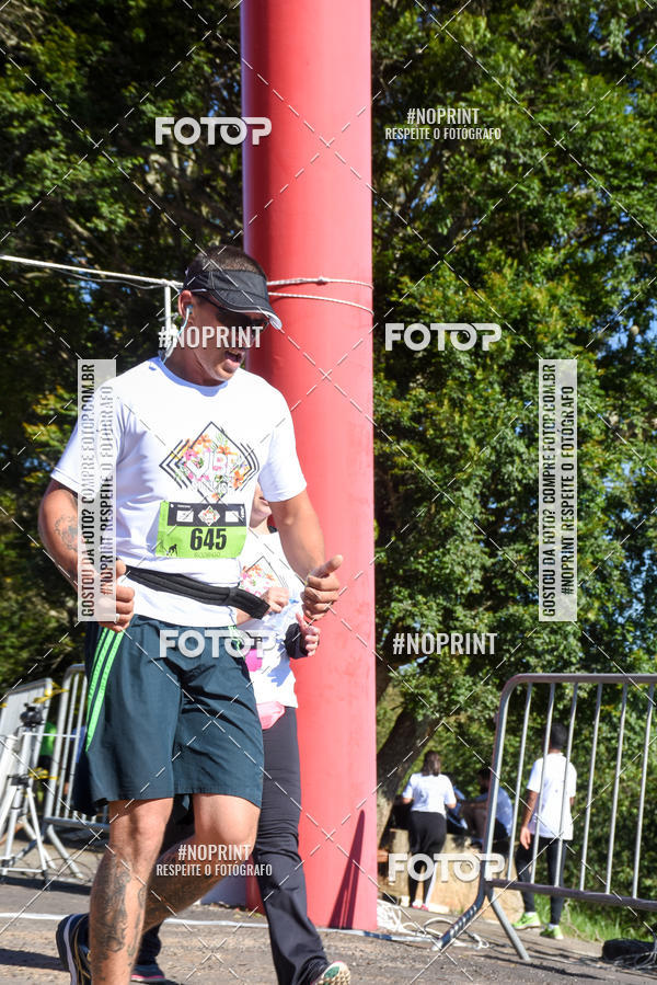 Buy your photos of the eventVibe Run on Fotop