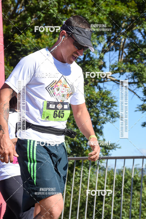 Buy your photos of the eventVibe Run on Fotop