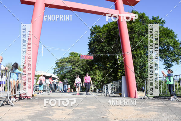 Buy your photos of the eventVibe Run on Fotop