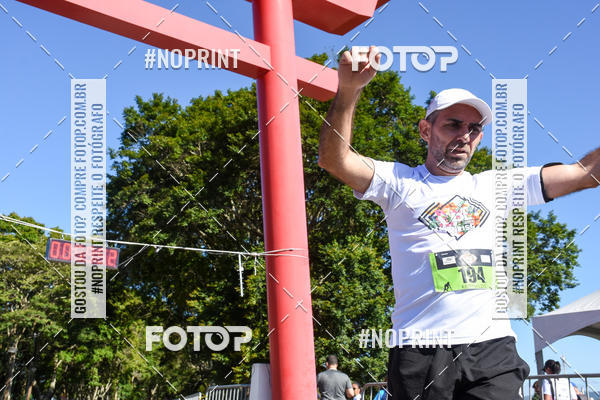 Buy your photos of the eventVibe Run on Fotop