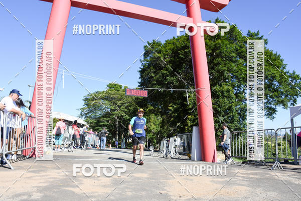 Buy your photos of the eventVibe Run on Fotop