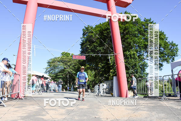 Buy your photos of the eventVibe Run on Fotop