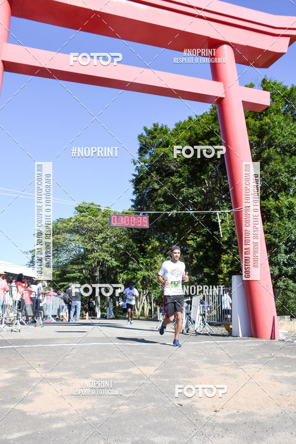 Buy your photos of the eventVibe Run on Fotop