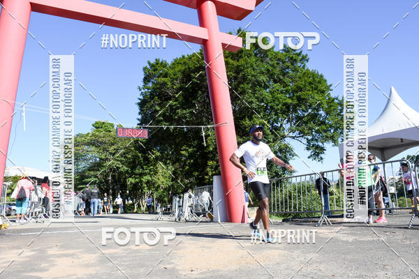 Buy your photos of the eventVibe Run on Fotop