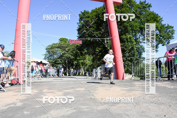 Buy your photos of the eventVibe Run on Fotop