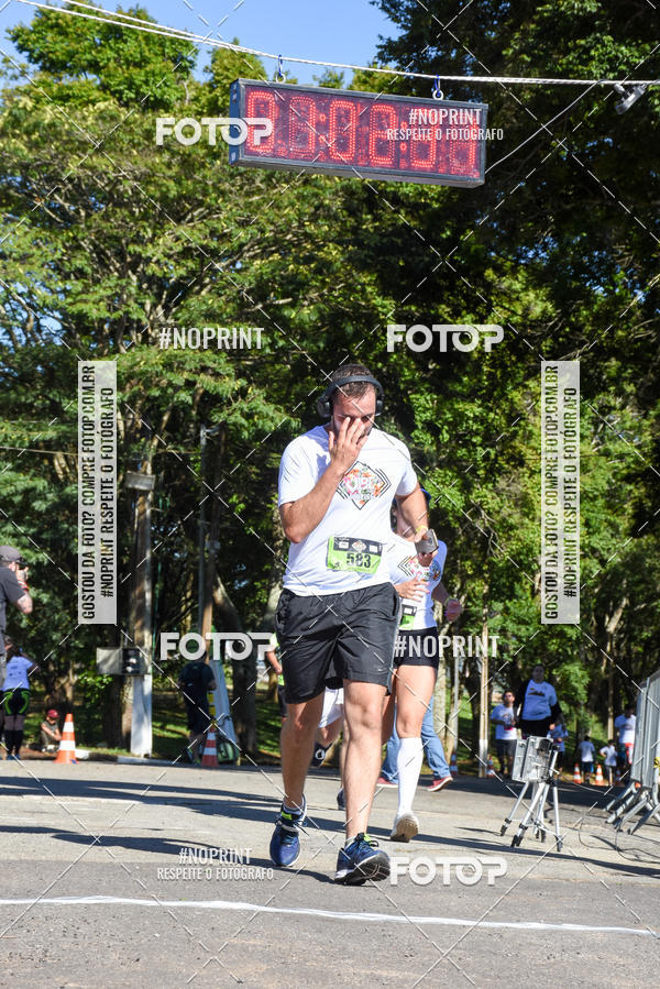 Buy your photos of the eventVibe Run on Fotop