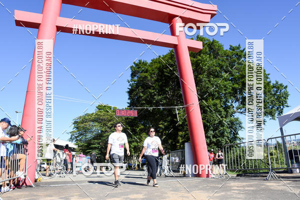 Buy your photos of the eventVibe Run on Fotop