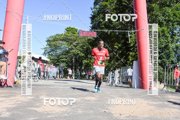Buy your photos of the eventVibe Run on Fotop