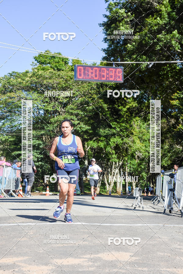 Buy your photos of the eventVibe Run on Fotop