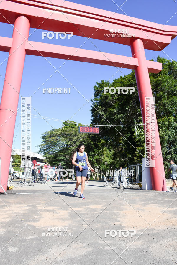 Buy your photos of the eventVibe Run on Fotop