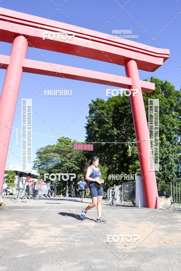 Buy your photos of the eventVibe Run on Fotop