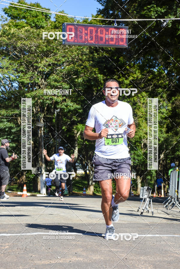 Buy your photos of the eventVibe Run on Fotop